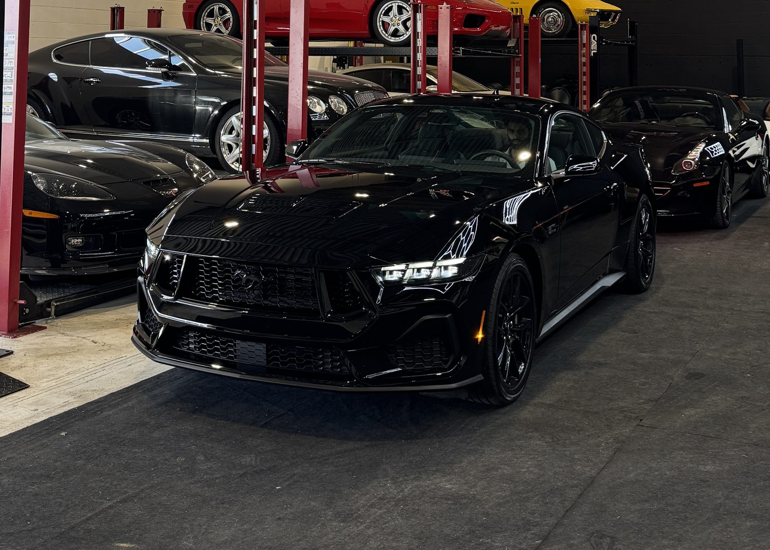 Ford Mustang 5.0 · Correction & Coating